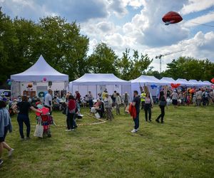 Witaj Lato na Bielanach! Wielkie gwiazdy wystąpią na dzielnicowym pikniku