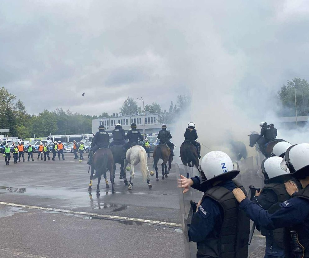 Konie, psy i wybuchy! Tak wyglądały ćwiczenia policjantów i strażników miejskich 