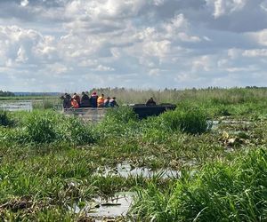 Zły stan wałów na Żuławach. „Są jak gąbka”
