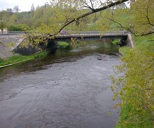 Drwęca