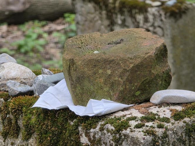 Cmentarz żydowski w Leżajsku