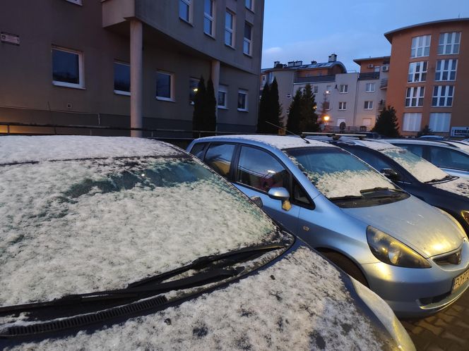 Pierwszy śnieg spadł w Poznaniu i okolicach