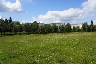 Fabryka Majonezu Kieleckiego będzie powiększona