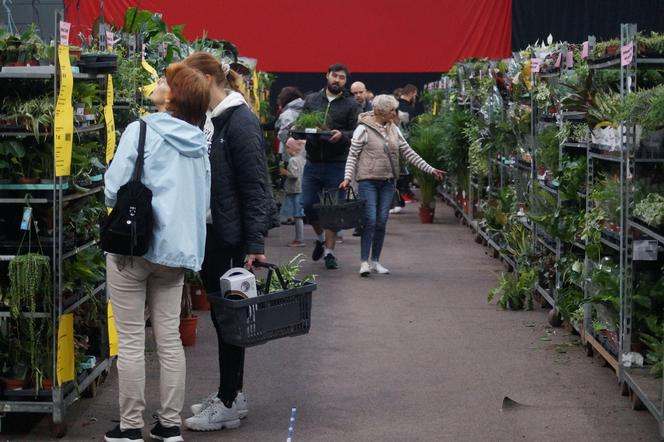 Bydgoski Festiwal Roślin 2023 w SISU Arenie [ZDJĘCIA]