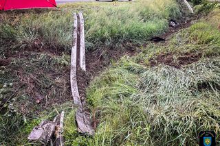 Tragiczne dachowanie w Strzyżewie Witkowskim! 45-latek zginął na miejscu