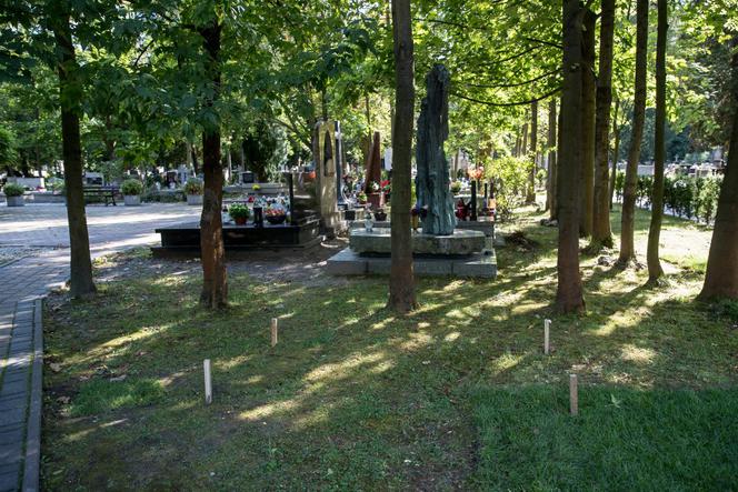 Ewa Demarczyk: Spocznie obok Grechuty