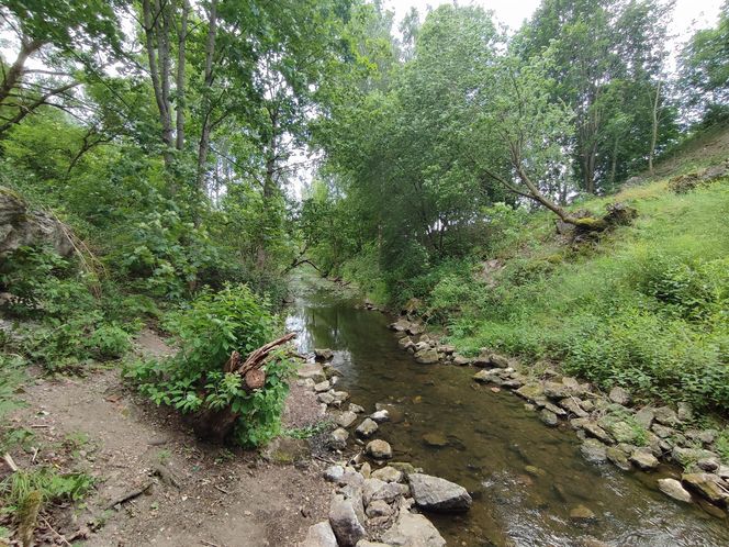Zwalony most w Grądach Kruklaneckich
