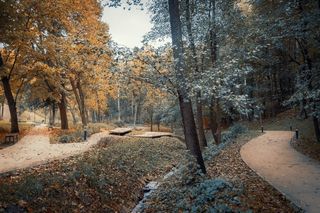 Park Miejski w Starachowicach. Powstał na terenach kopalnii żelaza