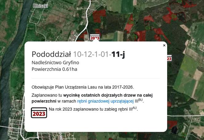 Wycinka lasów w Szczecinie i regionie 