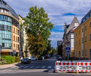 Kępa Mieszczańska we Wrocławiu - widok z drona