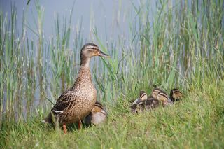 Zawody wędkarskie dla dzieci przyciągnęły w 2025 roku rekordową liczbę 148 uczestników