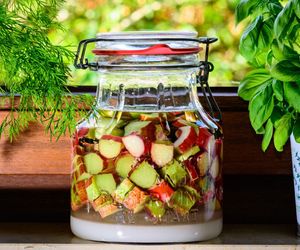 Domowa nalewka rabarbarowa – smak dzieciństwa w dorosłej wersji