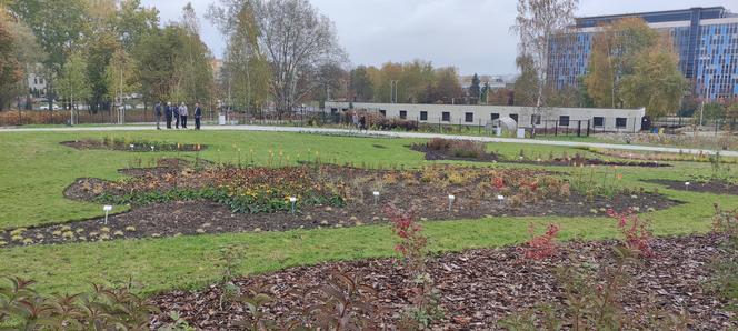 Rabaty w kształcie kontynentów w Ogrodzie Botanicznym w Kielcach