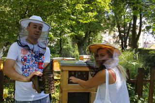 Wielki Dzień Pszczół w Bydgoszczy