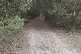 Kobieta spadła z konia pod Radomskiem. Strażacy nieśli ją na noszach 0,5 kilometra [ZDJĘCIA].