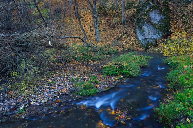 Ten park narodowy nazywany jest "polską Szwajcarią"