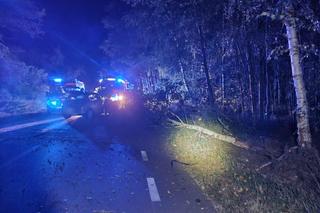 Poważny wypadek w Strzyżewie