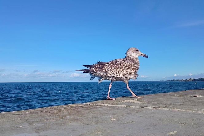 Kołobrzeg po sezonie