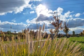 Najlepsze miejsca na jesienny spacer w Rzeszowie