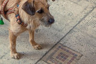 Marszałkowska Dzielnica Mieszkaniowa w Warszawie