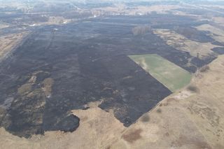 Mazowsze płonie. Ponad 300 pożarów w dwa dni. Strażacy biją na alarm!