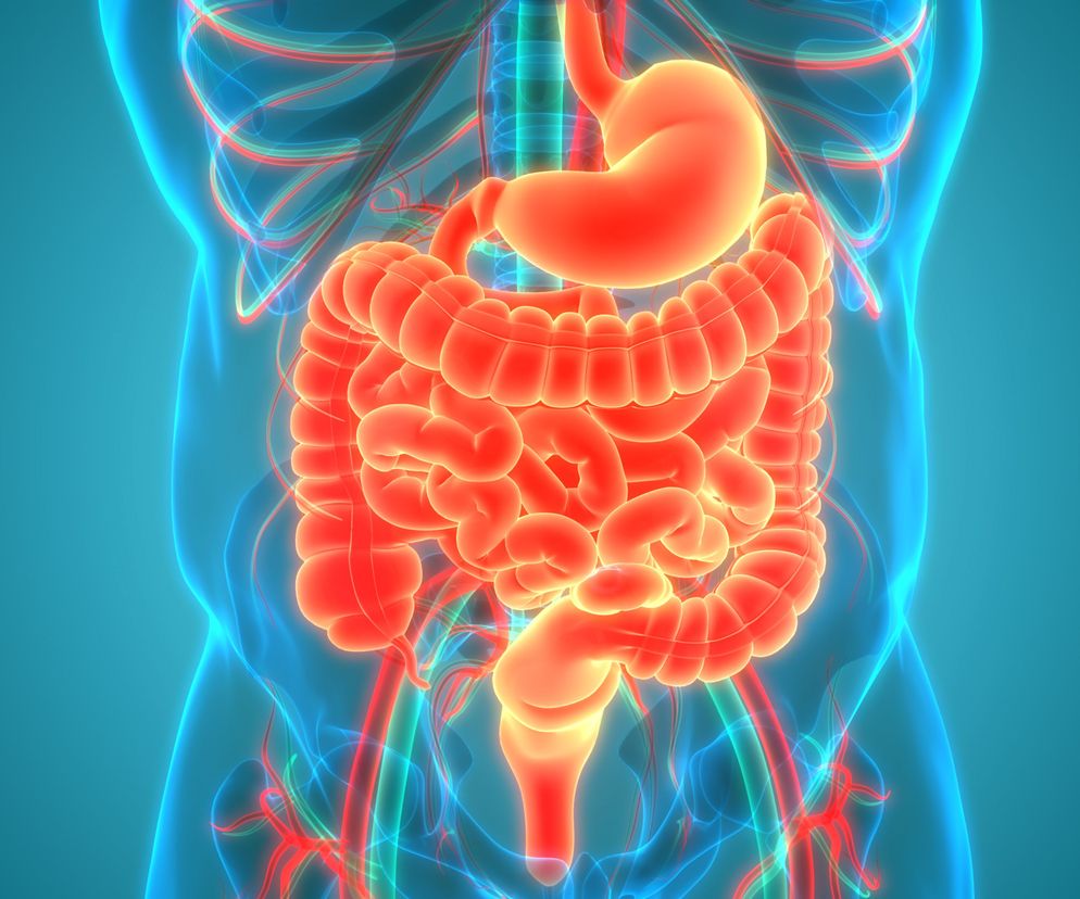 RTG jamy brzusznej. Wskazania, przygotowania, przebieg badania RTG jamy brzusznej