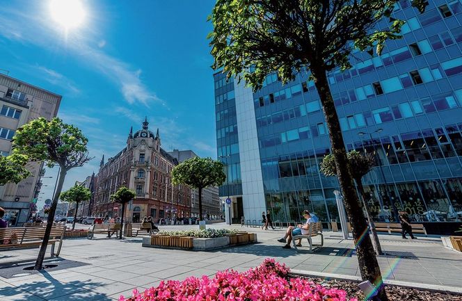 Najdziwniejszy rynek w województwie śląskim. "To nie plac, to archipelag wysp"