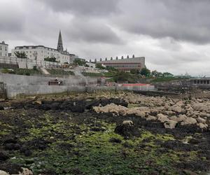 Dun Laoghaire Baths