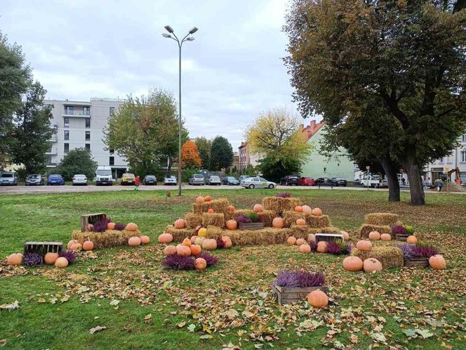 Dyniowa instalacja w centrum Giżycka. Można zrobić sobie jesienną sesję [ZDJĘCIA]