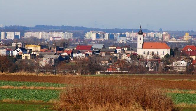 Powiat raciborski 