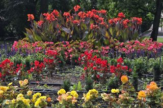 Spacer przez muzyczne serce Bydgoszczy. Park Kochanowskiego zachwyca historią i klimatem