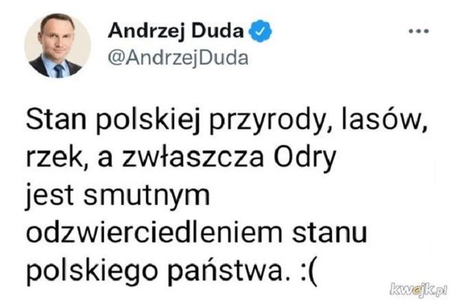 Zatruta Odra. Internauci komentują reakcje rządu [MEMY] 