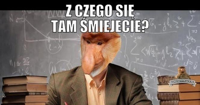 Najlepsze MEMY na Dzień Nauczyciela 2023!
