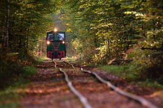 Sentymentalna podróż kolejką wąskotorową. Taka atrakcja w Starachowicach 