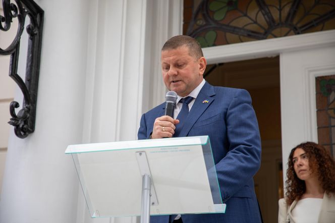 Valerii Zaluzhnyi 