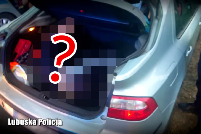 Policjanci zatrzymali pirata z Renault