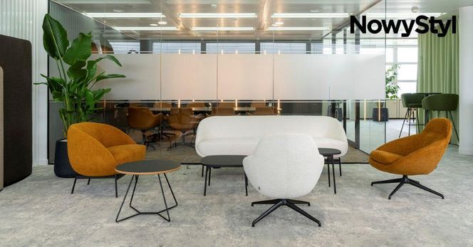 Nowy styl - salony i showroomy