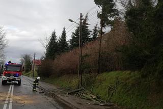 Wichura na Warmii i Mazurach. Silny wiatr łamał drzewa