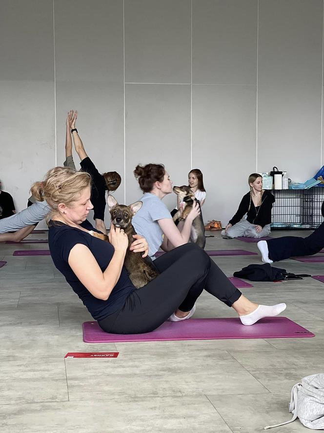 Puppy Yoga