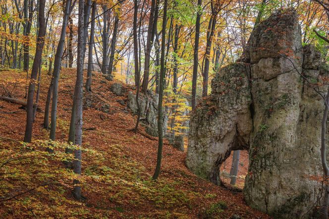 Ten park narodowy nazywany jest "polską Szwajcarią"