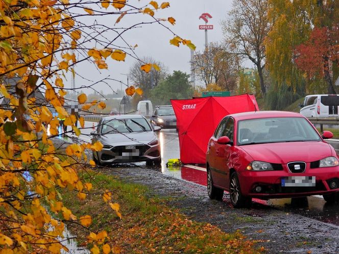 Zwłoki na drodze w Tarczynie. Policja szuka świadków