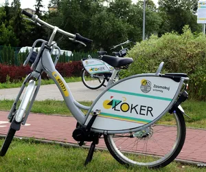 Łokery podkręcają wakacje! Sprawdź, jak korzystać z miejskiego roweru w Łomży