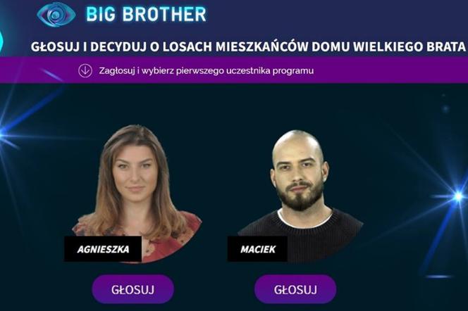 Big Brother