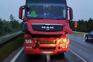 Dwa konie zginęły pod kołami ciężarówki