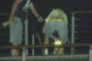 Sosnowiec. Wyrzucili psa do stawu z pomostu