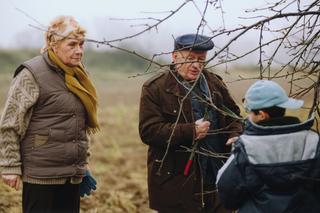 Teresa Lipowska (Barbara) i Witold Pyrkosz (Lucjan) na początku M jak miłość - jesień 2000 rok. 