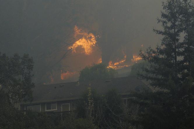 Kalifornia płonie! Ogromne pożary zabiły 17 osób, zniszczyły 2000 domów