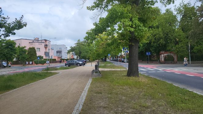 Aleja Dębowa w Bydgoszczy, czyli żywa historia wśród zieleni