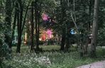 Olsztyn zamienił się w magiczną krainę. Park Świateł przyciągnął tłumy!
