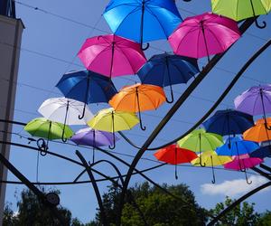 Kolorowe parasolki nad ulicą Kilińskiego w Białymstoku